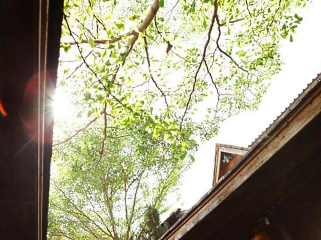 Loghome Boutique Τσιάνγκ Μάι Εξωτερικό φωτογραφία